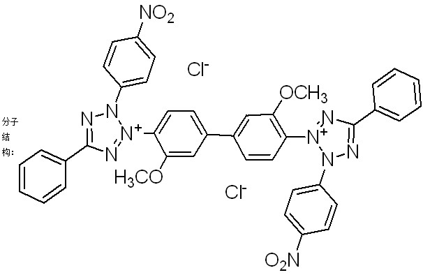氯化硝基四氮唑蓝（NBT）-CAS:298-83-9