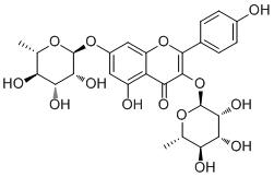 山奈苷-CAS:482-38-2