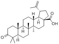 白桦脂酮酸-CAS:4481-62-3