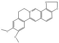 表小檗碱-CAS:6873-09-2