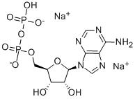 腺苷-5′-二磷酸二钠盐-CAS:16178-48-6