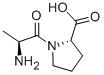 L-丙氨酰基-L-脯氨酸-CAS:13485-59-1
