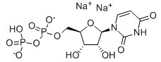 尿苷-5′-二磷酸钠盐-CAS:21931-53-3