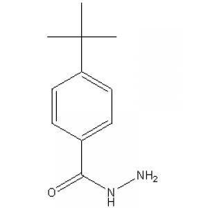 对叔丁基苯甲酰肼-CAS:43100-38-5