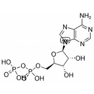 腺苷-5-二磷酸-CAS:58-64-0