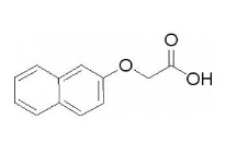 2-萘氧乙酸-CAS:120-23-0