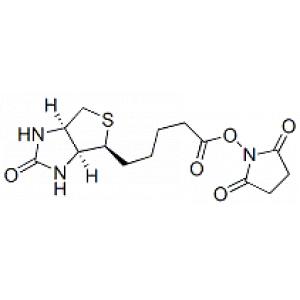 (+)生物素-N-琥珀酰亚胺基酯-CAS:35013-72-0