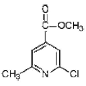 2-氯-6-甲基异烟酸甲酯-CAS:3998-90-1