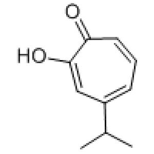 4-异丙基环庚三烯酚酮-CAS:499-44-5