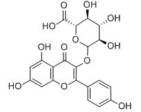 山奈酚葡萄糖醛酸苷-CAS:22688-78-4