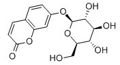 茵芋苷-CAS:93-39-0