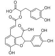 紫草酸-CAS:28831-65-4