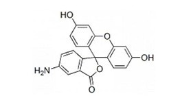 5-氨基荧光素-CAS:3326-34-9