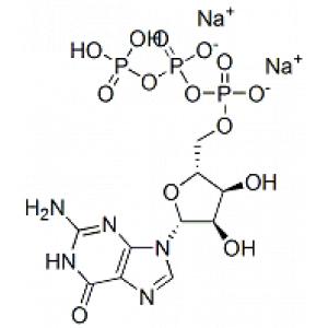 鸟苷-5'-三磷酸二钠盐-CAS:56001-37-7