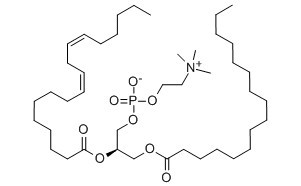 卵磷脂-CAS:8002-43-5