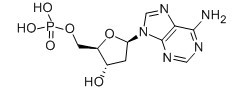 2'-脱氧腺苷-5'-单磷酸-CAS:653-63-4