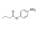 4-硝基苯丁酸酯-CAS:2635-84-9