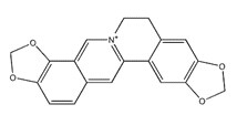 黄连碱-CAS:3486-66-6