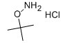 O-叔丁基羟胺盐酸盐-CAS:39684-28-1