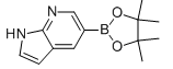 7-氮杂吲哚-5-硼酸频哪醇酯-CAS:754214-56-7