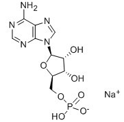 腺苷5'-单磷酸二钠(酵母)-CAS:13474-03-8