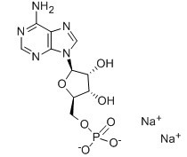5'-腺嘌呤核苷酸二钠盐-CAS:4578-31-8