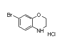 7-溴-3,4-二氢-2H-苯并[b][1,4]噁嗪盐酸盐-CAS:1350738-87-2