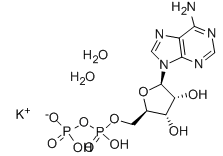 二磷酸腺苷单钾盐-CAS:72696-48-1