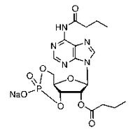 N6,2′-O-二丁酰基腺苷3′,5′-环磷酸 钠盐-CAS:16980-89-5