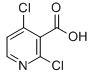 2,4-二氯烟酸-CAS:262423-77-8