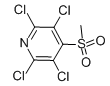 2,3,5,6-四氯-4-(甲磺酰)吡啶-CAS:13108-52-6