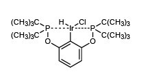 2,6-双(二-叔丁基膦氧基)苯基氯代氢铱(III)-CAS:671789-61-0