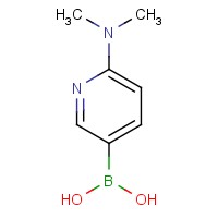 2-(二甲基氨基)吡啶-5-硼酸一水合物-CAS:579525-46-5