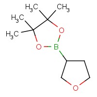 四氢呋喃-3-硼酸频哪醇酯-CAS:331958-90-8