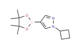 N-环丙基-吡唑-4-频哪醇二硼酸酯-CAS:1002309-48-9