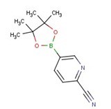 2-氰基吡啶-5-硼酸频那酯-CAS:741709-63-7