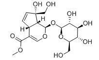 羟基栀子苷-CAS:24512-62-7