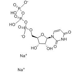 5'-三磷酸尿苷二钠-CAS:285978-18-9