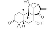 蓝萼甲素-CAS:79498-31-0