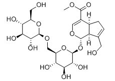 京尼平-1-Β-D-龙胆双糖苷-CAS:29307-60-6