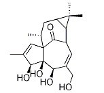 巨大戟醇-CAS:30220-46-3