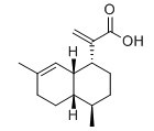 青蒿酸-CAS:80286-58-4