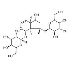 地黄苷C-CAS:81720-07-2