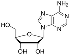 阿糖腺苷-CAS:5536-17-4