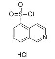 异喹啉-5-磺酰氯 盐酸盐-CAS:105627-79-0