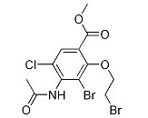 4-(乙酰氨基)-3-溴-2-(2-溴乙氧基)-5-氯苯甲酸甲酯-CAS:748788-39-8