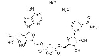 三磷酸吡啶核苷酸 钠盐 水合物-CAS:698999-85-8