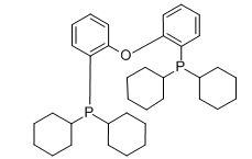 双(二环己基膦基苯基)醚-CAS:434336-16-0