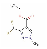 3-二氟甲基-1-甲基吡唑-4-甲酸乙酯-CAS:141573-95-7