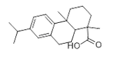 脱氢松香酸-CAS:1740-19-8